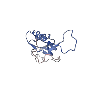 21641_6wdm_m_v1-3
Cryo-EM of elongating ribosome with EF-Tu*GTP elucidates tRNA proofreading (Non-cognate Structure V-B2)