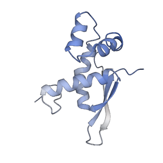 21641_6wdm_n_v1-2
Cryo-EM of elongating ribosome with EF-Tu*GTP elucidates tRNA proofreading (Non-cognate Structure V-B2)
