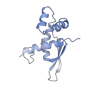 21641_6wdm_n_v1-3
Cryo-EM of elongating ribosome with EF-Tu*GTP elucidates tRNA proofreading (Non-cognate Structure V-B2)