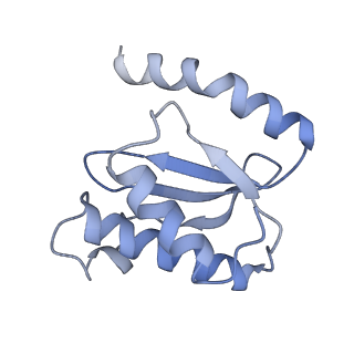 21641_6wdm_o_v1-2
Cryo-EM of elongating ribosome with EF-Tu*GTP elucidates tRNA proofreading (Non-cognate Structure V-B2)