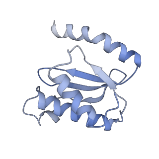 21641_6wdm_o_v1-3
Cryo-EM of elongating ribosome with EF-Tu*GTP elucidates tRNA proofreading (Non-cognate Structure V-B2)