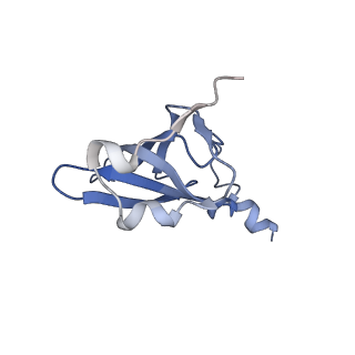21641_6wdm_p_v1-2
Cryo-EM of elongating ribosome with EF-Tu*GTP elucidates tRNA proofreading (Non-cognate Structure V-B2)