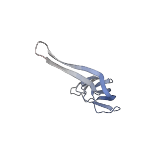21641_6wdm_r_v1-2
Cryo-EM of elongating ribosome with EF-Tu*GTP elucidates tRNA proofreading (Non-cognate Structure V-B2)