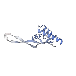 21641_6wdm_s_v1-2
Cryo-EM of elongating ribosome with EF-Tu*GTP elucidates tRNA proofreading (Non-cognate Structure V-B2)