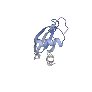 21641_6wdm_t_v1-2
Cryo-EM of elongating ribosome with EF-Tu*GTP elucidates tRNA proofreading (Non-cognate Structure V-B2)