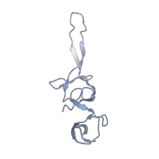 21641_6wdm_u_v1-2
Cryo-EM of elongating ribosome with EF-Tu*GTP elucidates tRNA proofreading (Non-cognate Structure V-B2)