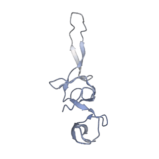 21641_6wdm_u_v1-3
Cryo-EM of elongating ribosome with EF-Tu*GTP elucidates tRNA proofreading (Non-cognate Structure V-B2)