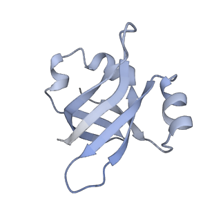 21641_6wdm_v_v1-2
Cryo-EM of elongating ribosome with EF-Tu*GTP elucidates tRNA proofreading (Non-cognate Structure V-B2)