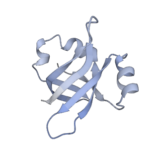 21641_6wdm_v_v1-3
Cryo-EM of elongating ribosome with EF-Tu*GTP elucidates tRNA proofreading (Non-cognate Structure V-B2)