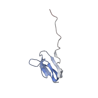 21641_6wdm_w_v1-2
Cryo-EM of elongating ribosome with EF-Tu*GTP elucidates tRNA proofreading (Non-cognate Structure V-B2)