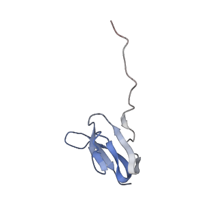 21641_6wdm_w_v1-3
Cryo-EM of elongating ribosome with EF-Tu*GTP elucidates tRNA proofreading (Non-cognate Structure V-B2)