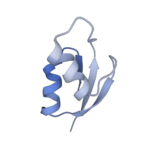 21641_6wdm_z_v1-2
Cryo-EM of elongating ribosome with EF-Tu*GTP elucidates tRNA proofreading (Non-cognate Structure V-B2)
