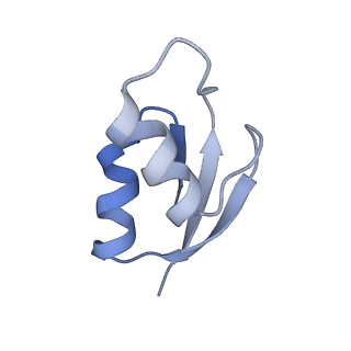 21641_6wdm_z_v1-3
Cryo-EM of elongating ribosome with EF-Tu*GTP elucidates tRNA proofreading (Non-cognate Structure V-B2)