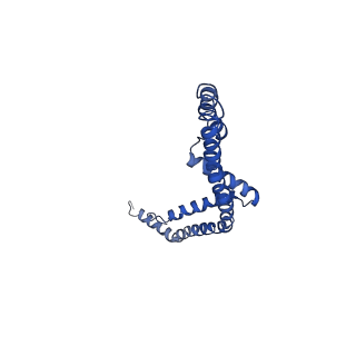 21642_6wdn_C_v1-1
Cryo-EM structure of mitochondrial calcium uniporter holocomplex in low Ca2+