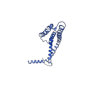 21642_6wdn_G_v1-1
Cryo-EM structure of mitochondrial calcium uniporter holocomplex in low Ca2+