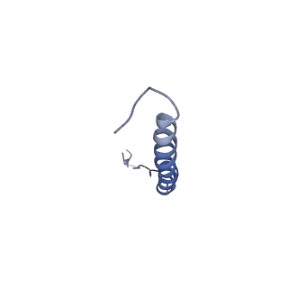 21643_6wdo_B_v1-2
Cryo-EM structure of mitochondrial calcium uniporter holocomplex in high Ca2+