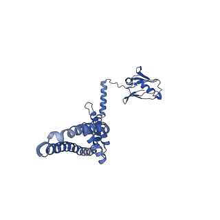 21643_6wdo_C_v1-2
Cryo-EM structure of mitochondrial calcium uniporter holocomplex in high Ca2+