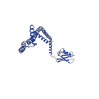 21643_6wdo_E_v1-2
Cryo-EM structure of mitochondrial calcium uniporter holocomplex in high Ca2+