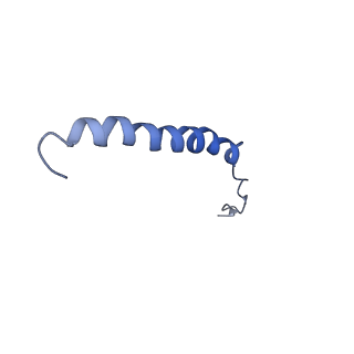 21643_6wdo_F_v1-2
Cryo-EM structure of mitochondrial calcium uniporter holocomplex in high Ca2+