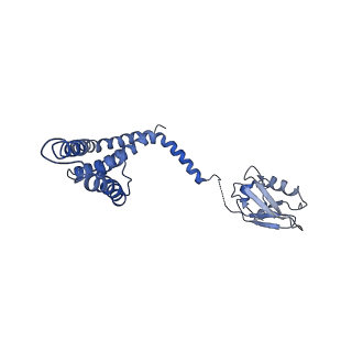 21643_6wdo_G_v1-1
Cryo-EM structure of mitochondrial calcium uniporter holocomplex in high Ca2+