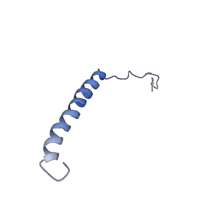 21643_6wdo_H_v1-2
Cryo-EM structure of mitochondrial calcium uniporter holocomplex in high Ca2+