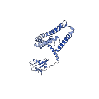 21643_6wdo_I_v1-1
Cryo-EM structure of mitochondrial calcium uniporter holocomplex in high Ca2+