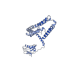 21643_6wdo_I_v1-2
Cryo-EM structure of mitochondrial calcium uniporter holocomplex in high Ca2+