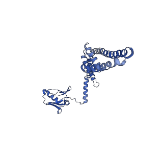 21643_6wdo_K_v1-1
Cryo-EM structure of mitochondrial calcium uniporter holocomplex in high Ca2+