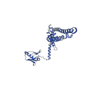 21643_6wdo_K_v1-2
Cryo-EM structure of mitochondrial calcium uniporter holocomplex in high Ca2+