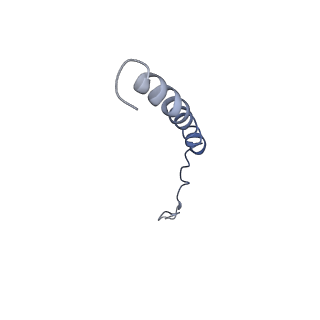21643_6wdo_L_v1-1
Cryo-EM structure of mitochondrial calcium uniporter holocomplex in high Ca2+