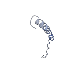 21643_6wdo_L_v1-2
Cryo-EM structure of mitochondrial calcium uniporter holocomplex in high Ca2+