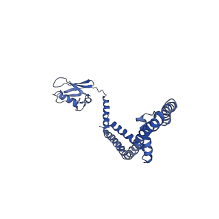 21643_6wdo_M_v1-1
Cryo-EM structure of mitochondrial calcium uniporter holocomplex in high Ca2+