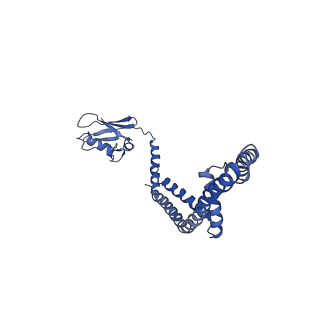 21643_6wdo_M_v1-2
Cryo-EM structure of mitochondrial calcium uniporter holocomplex in high Ca2+