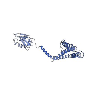 21643_6wdo_O_v1-1
Cryo-EM structure of mitochondrial calcium uniporter holocomplex in high Ca2+