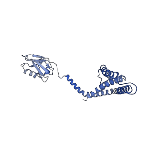 21643_6wdo_O_v1-2
Cryo-EM structure of mitochondrial calcium uniporter holocomplex in high Ca2+