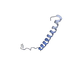 21643_6wdo_P_v1-2
Cryo-EM structure of mitochondrial calcium uniporter holocomplex in high Ca2+