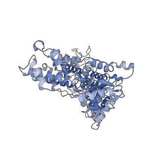 32403_7wd3_A_v1-0
Cryo-EM structure of Drg1 hexamer treated with ATP and benzo-diazaborine