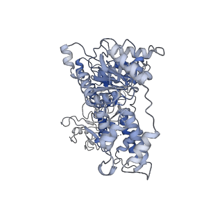 32403_7wd3_C_v1-0
Cryo-EM structure of Drg1 hexamer treated with ATP and benzo-diazaborine