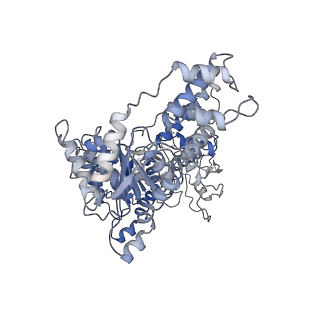 32403_7wd3_E_v1-0
Cryo-EM structure of Drg1 hexamer treated with ATP and benzo-diazaborine