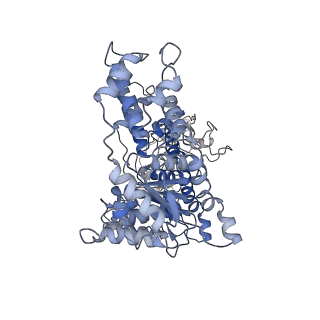 32403_7wd3_F_v1-0
Cryo-EM structure of Drg1 hexamer treated with ATP and benzo-diazaborine