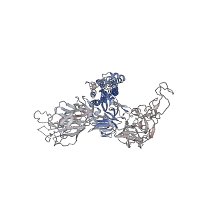 32437_7wdf_A_v1-0
SARS-CoV-2 Beta spike in complex with two S3H3 Fabs