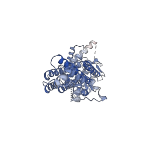 37455_8wd6_A_v1-0
Cryo-EM structure of the ABCG25