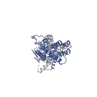 37455_8wd6_B_v1-0
Cryo-EM structure of the ABCG25