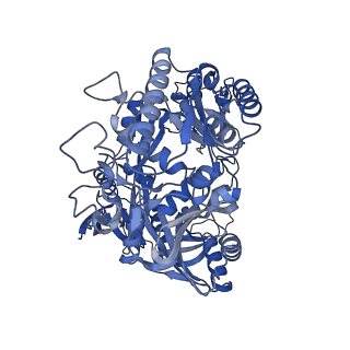 37457_8wd8_A_v1-0
Cryo-EM structure of TtdAgo-guide DNA-target DNA complex