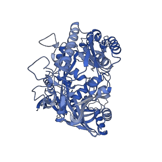 37457_8wd8_A_v1-2
Cryo-EM structure of TtdAgo-guide DNA-target DNA complex