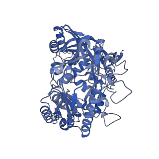 37457_8wd8_B_v1-0
Cryo-EM structure of TtdAgo-guide DNA-target DNA complex