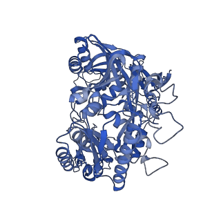 37457_8wd8_B_v1-2
Cryo-EM structure of TtdAgo-guide DNA-target DNA complex