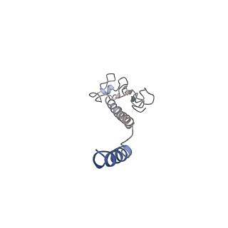 8812_5wda_A_v1-2
Structure of the PulG pseudopilus