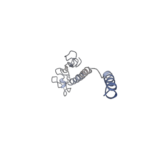 8812_5wda_B_v1-2
Structure of the PulG pseudopilus