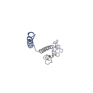 8812_5wda_D_v1-2
Structure of the PulG pseudopilus